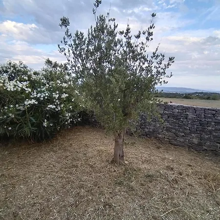 La Picholine_bourg Saint Andeol Semesterbostad